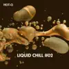 Hot-Q - Liquid Chill, Vol. 02